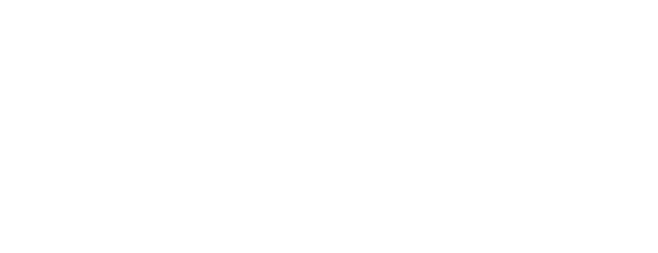 Logo officiel de Waggas School, école de parapente spécialisée dans le pilotage soaring et les stages sur la Dune du Pilat