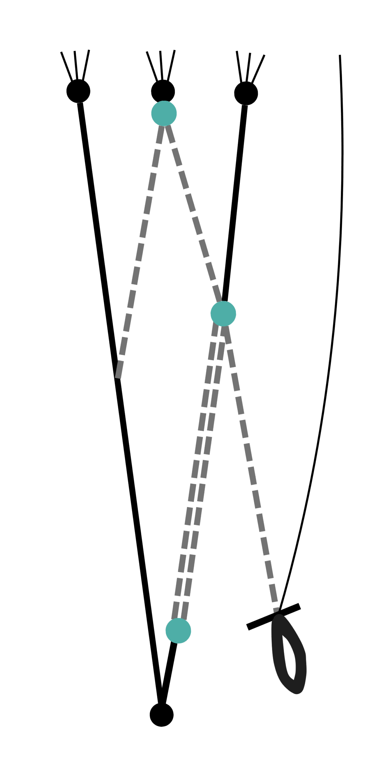 schema d'analyse du systeme pilotage en parakite