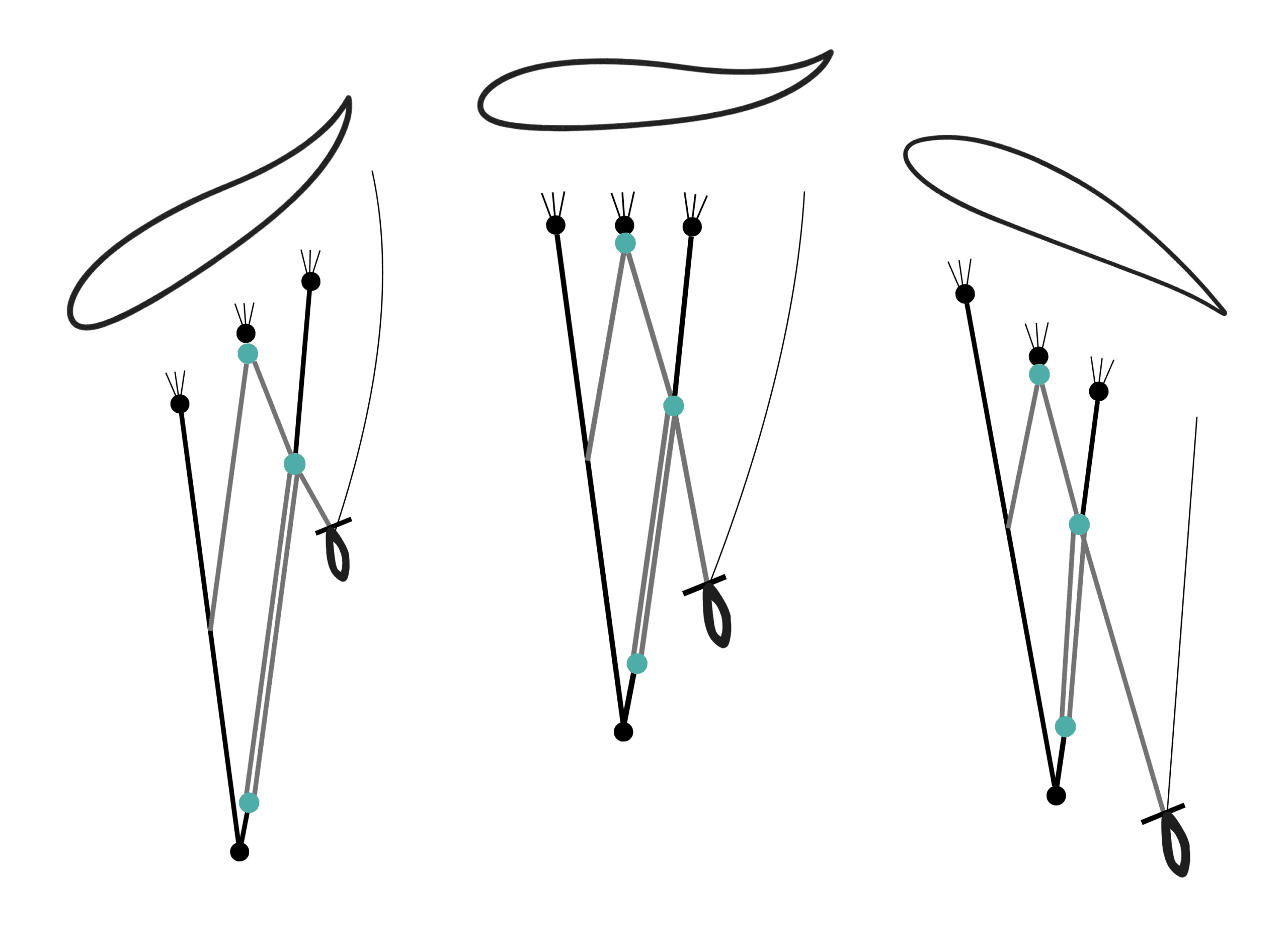 Cours Parakite sécurisé encadré par moniteur FFVL